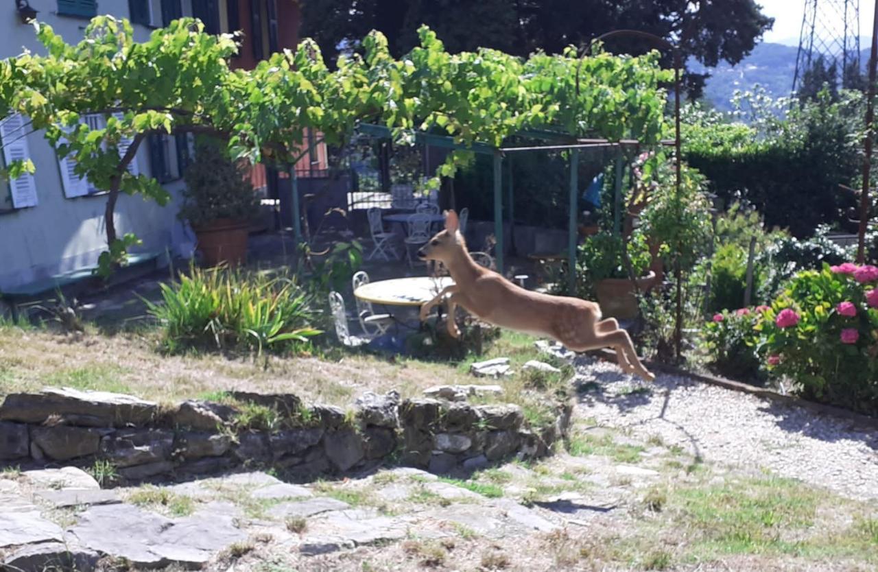 Villa Ponzio Genova Eksteriør billede