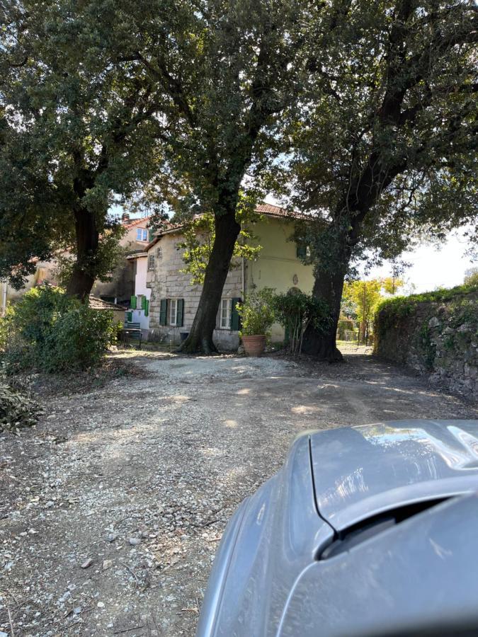 Villa Ponzio Genova Eksteriør billede