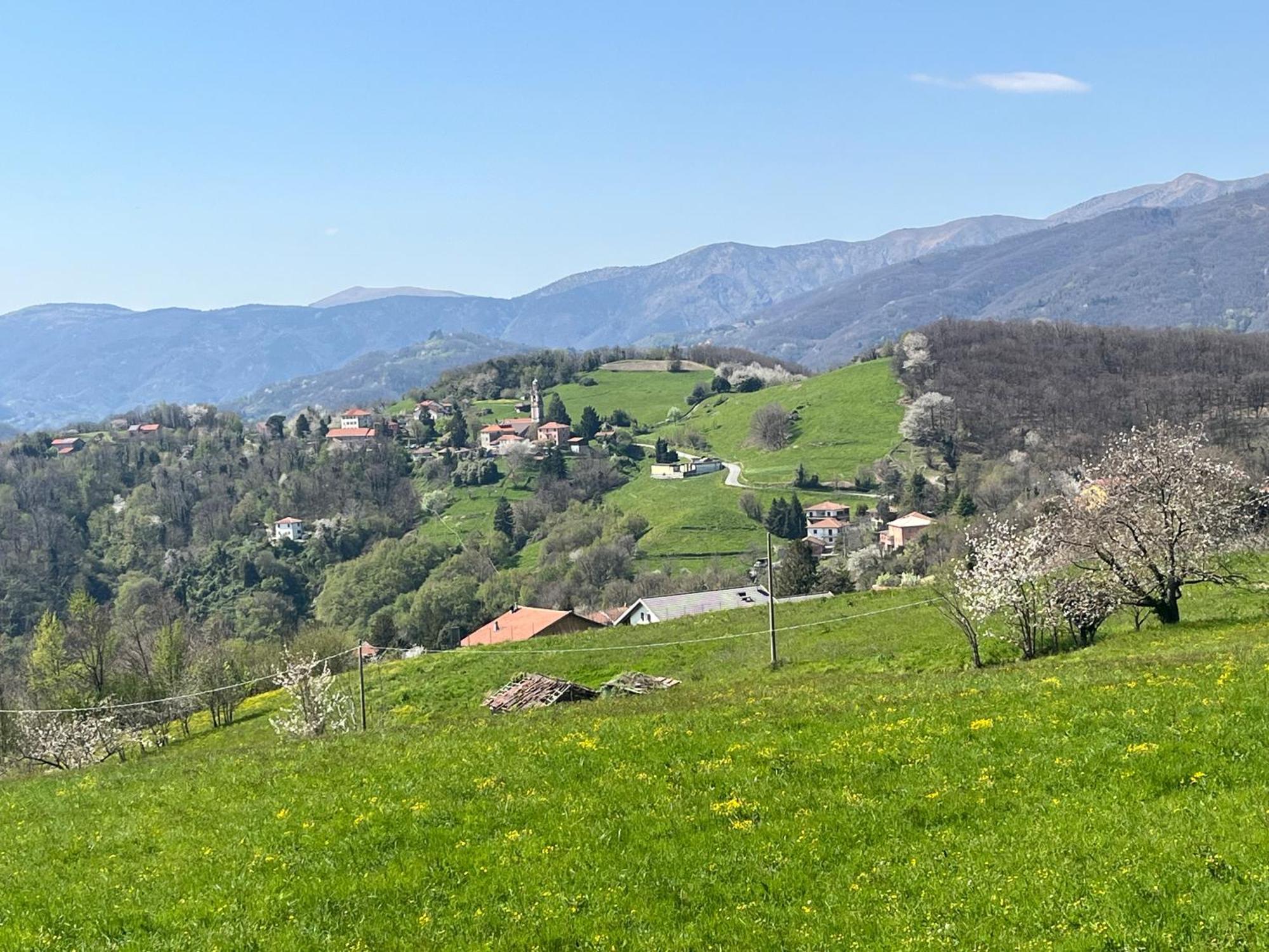 Villa Ponzio Genova Eksteriør billede